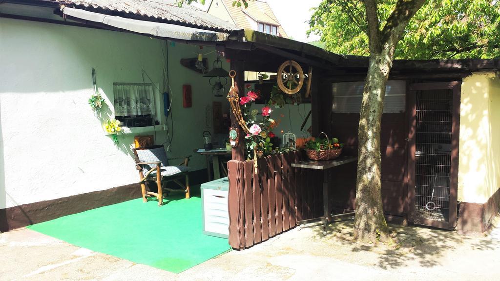 Ferienwohnung Cziesla Bad Sachsa Dış mekan fotoğraf